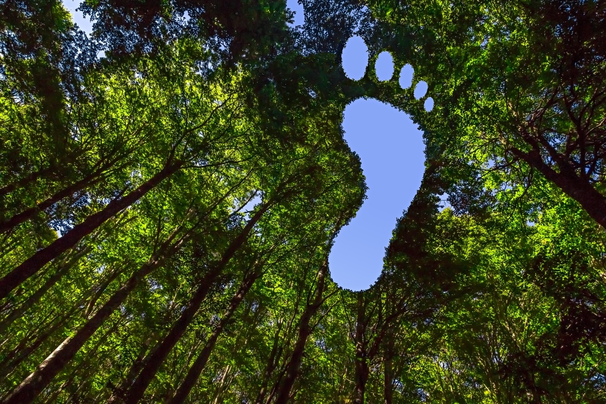 image showing carbon footprint