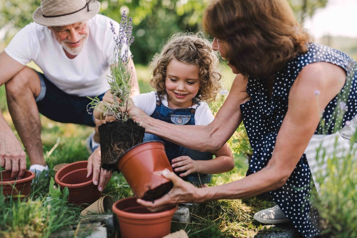 Image showing happy family practicing eco friendly gardening