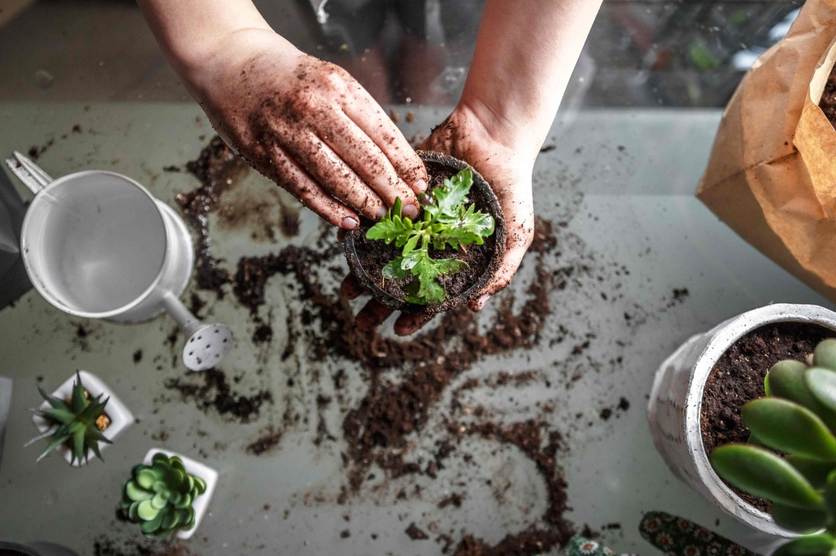 image showing eco friendly gardening practices treating natural plants