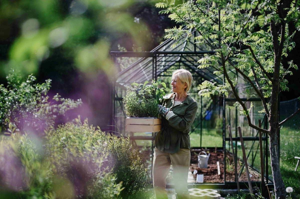 image showing a senior practicing eco friendly gardening