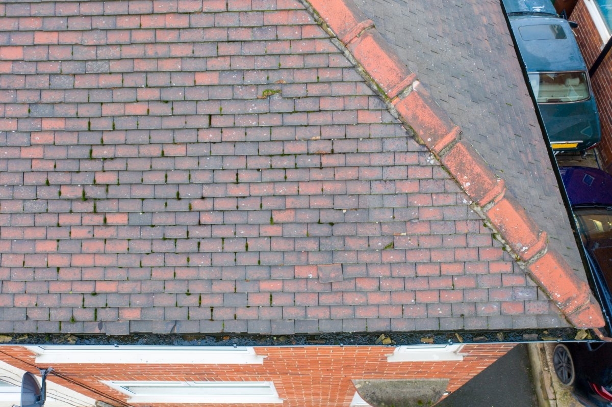 image showing a roof from above and the dirty gutters