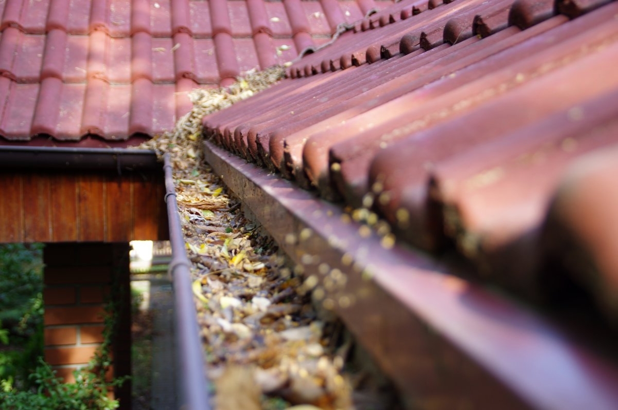 image showing a dirty and clogged gutter