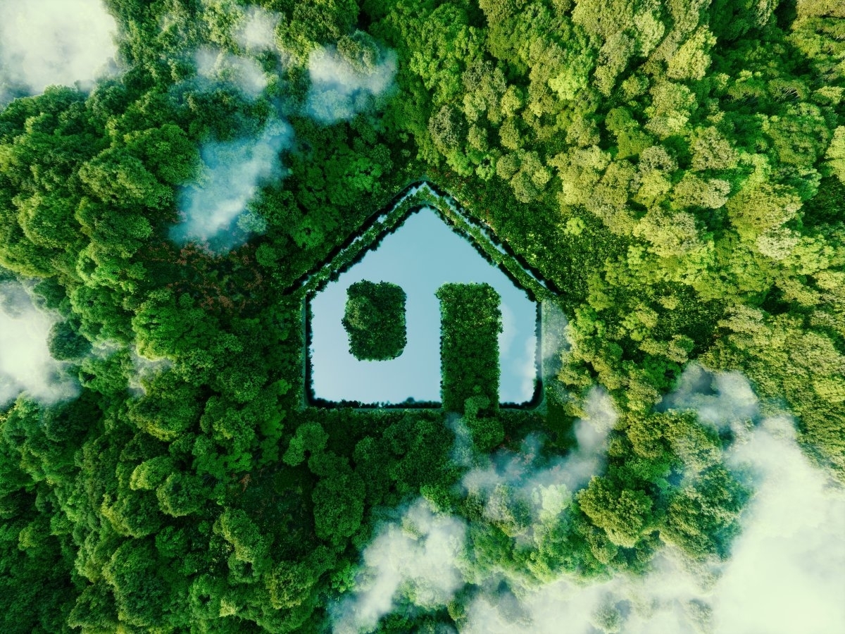 image showing the shape of a house in a forest