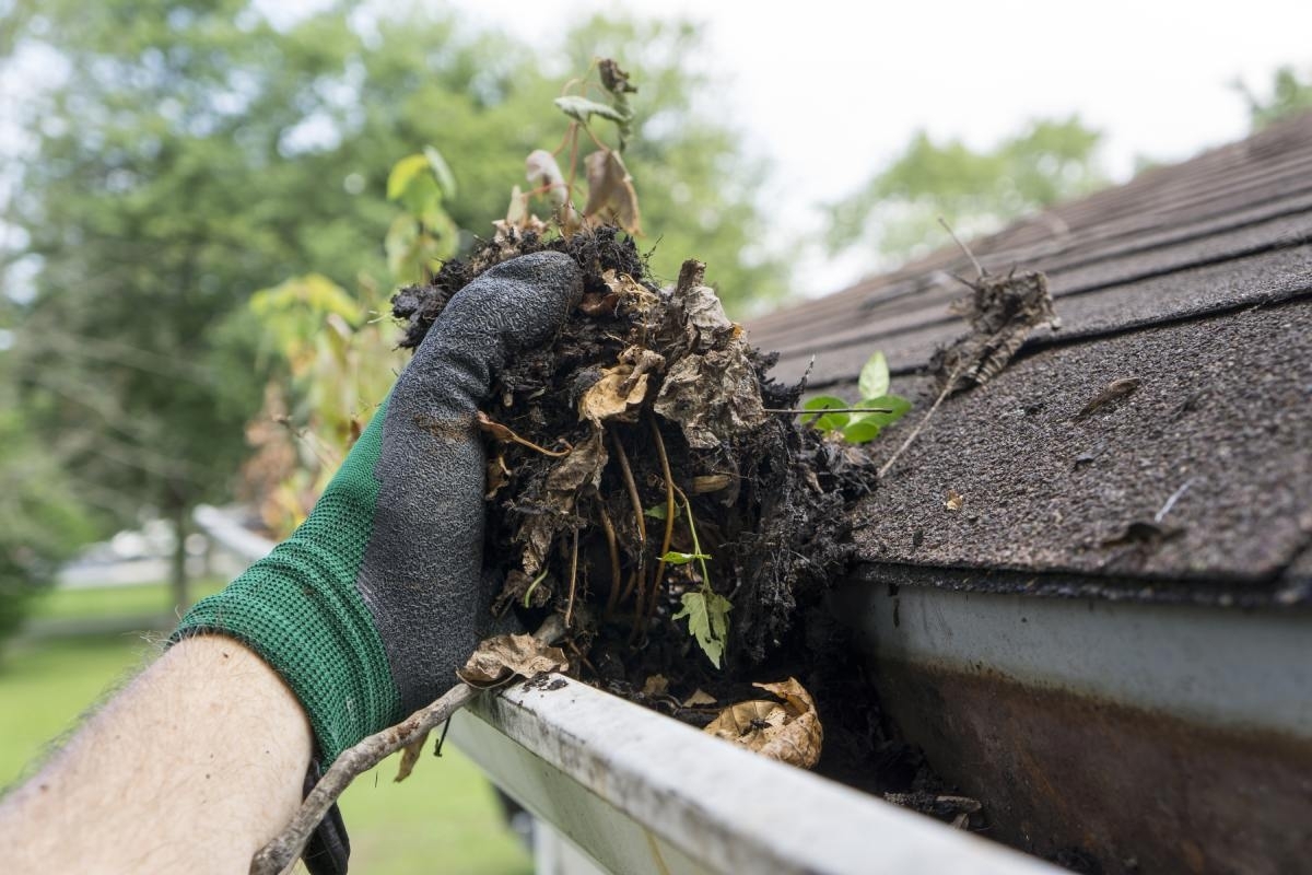 a hand cleaning a gutter guard