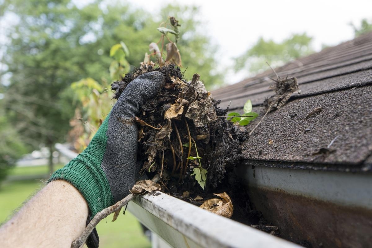 image showing homeowner cleaning their gutter from debris buildup