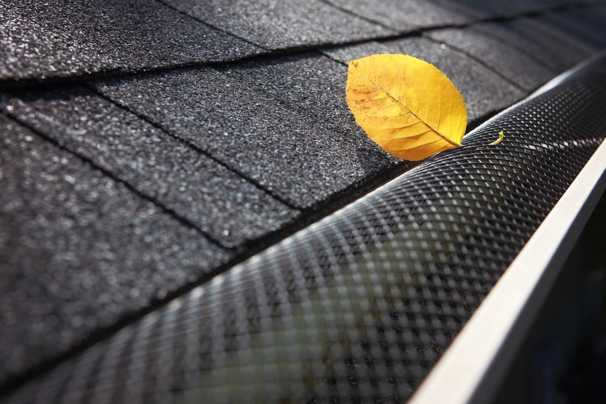 image showing gutter being protected by leaves from a gutter guard