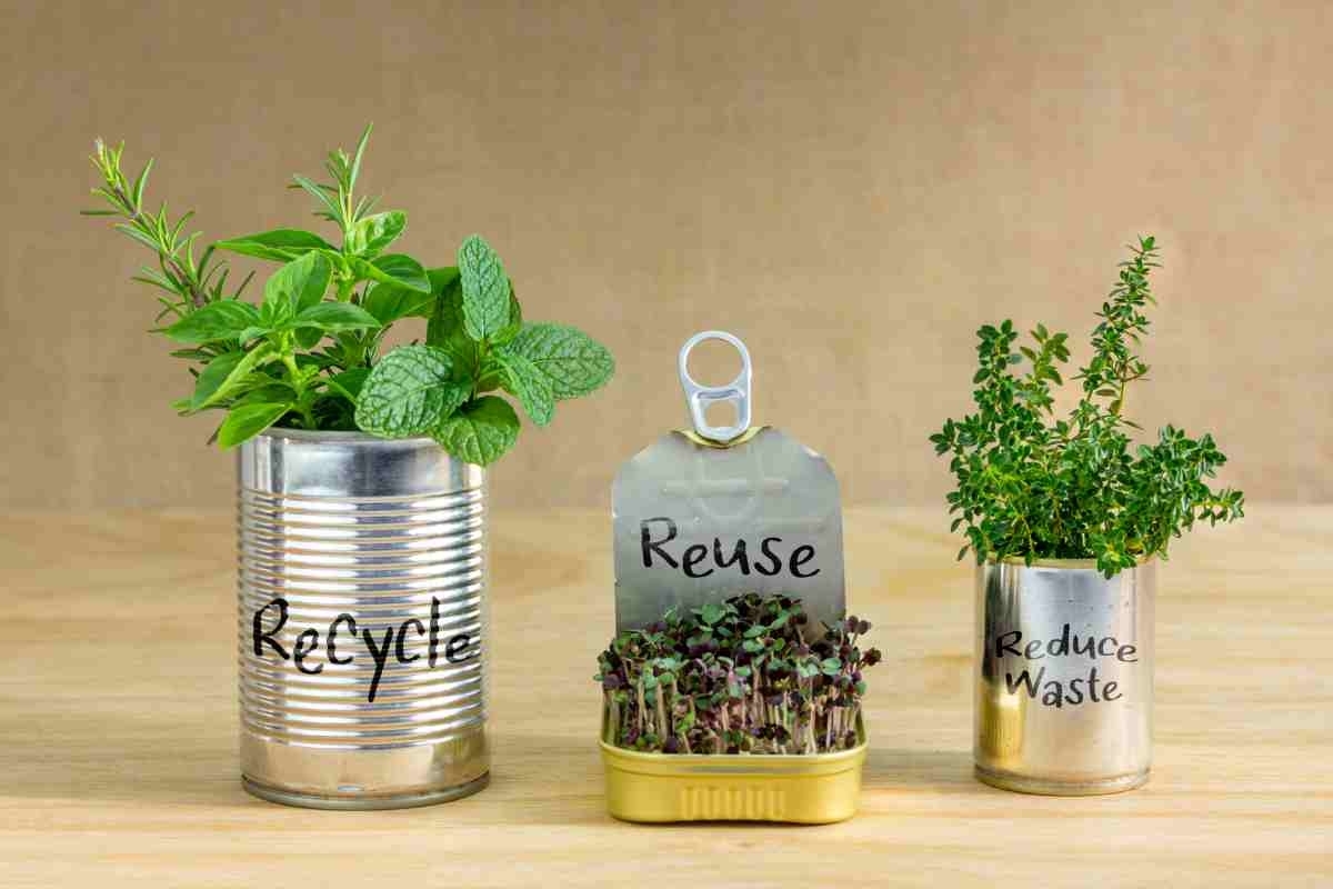 image showing three plants containing different messages encouraging eco-friendly activities