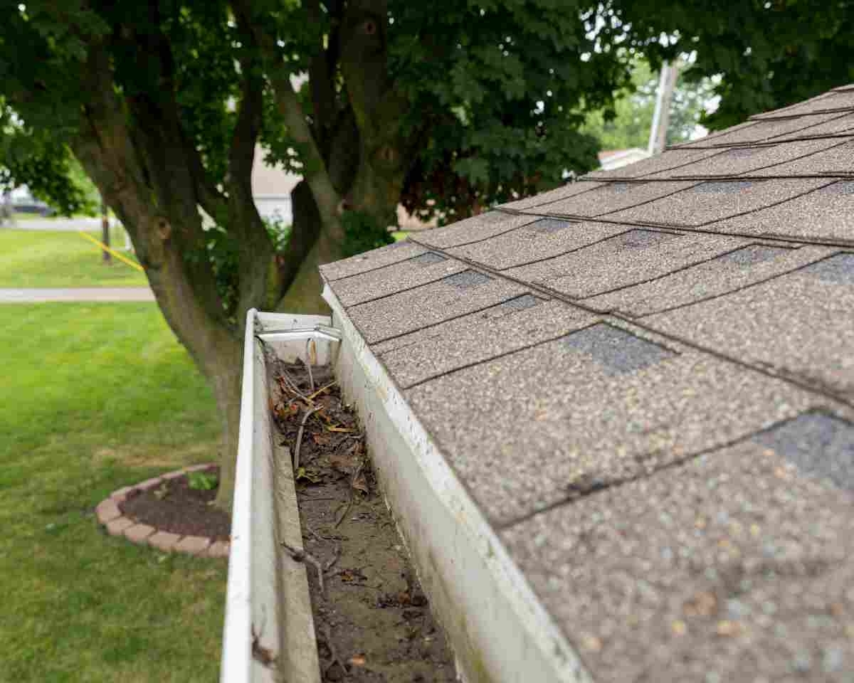 image showing gutters with debris