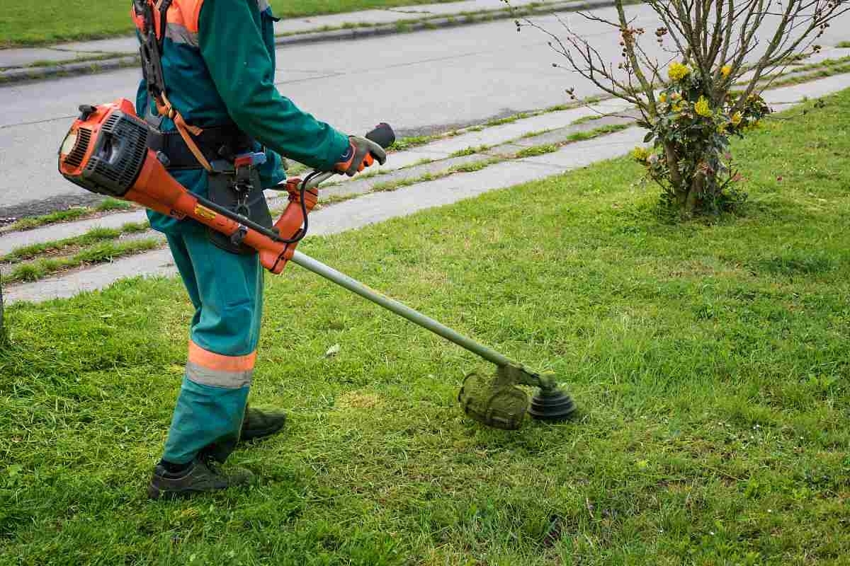 image showing a man maintaining his grass