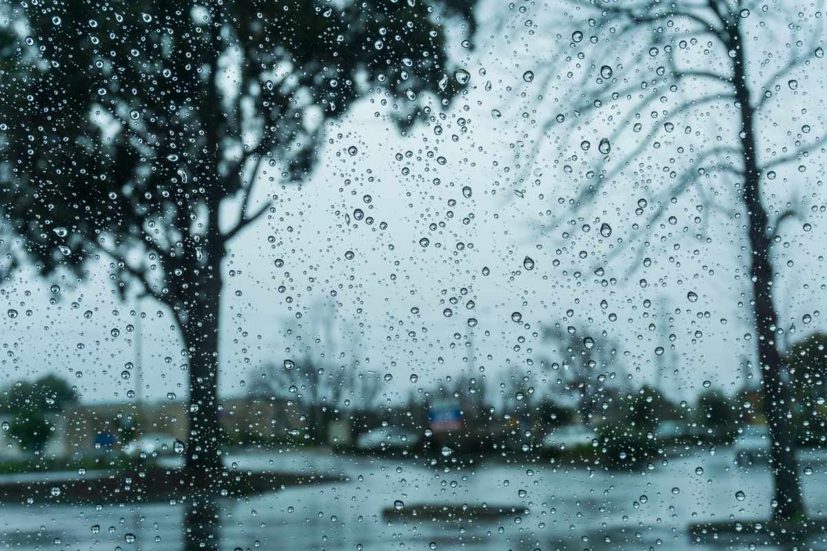 image showing a window glass with rain water on it and a tree on the outside